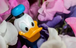 En Kalle Anka-leksak i ett hav av blommor